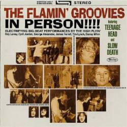 Flamin' Groovies : In Person!